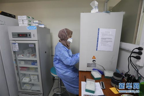 通訊 高溫與疫情下,中國(guó)援建實(shí)驗(yàn)室在伊拉克的堅(jiān)守